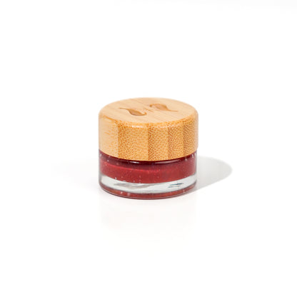 The Jelly - Mini